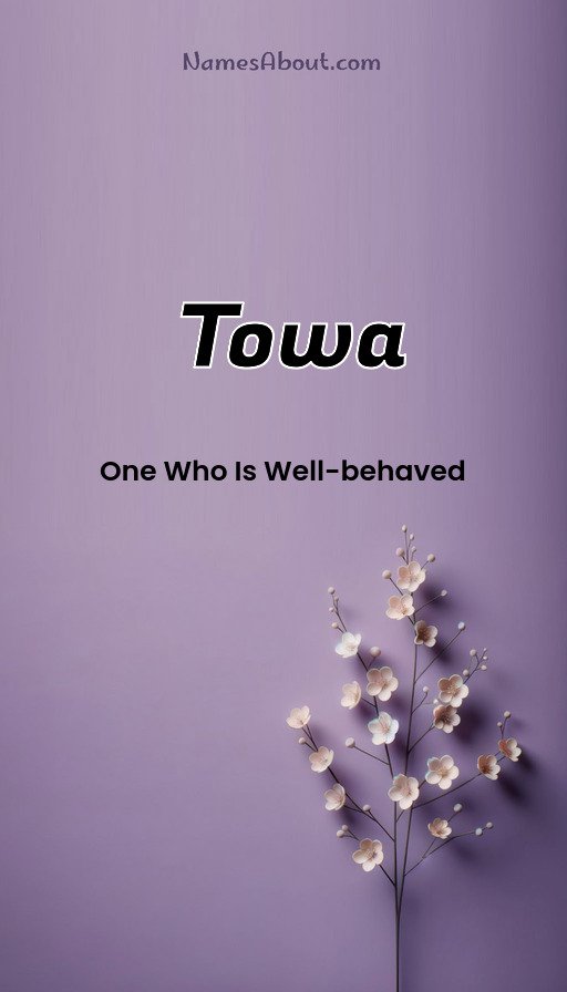 Meaning of Towa