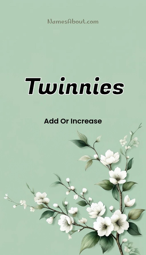 Meaning of Twinnies