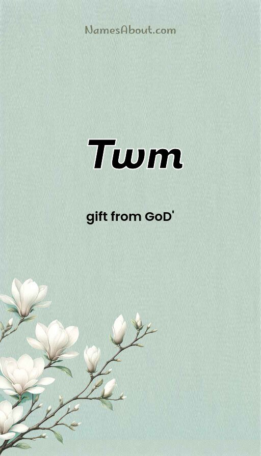 Meaning of Twm
