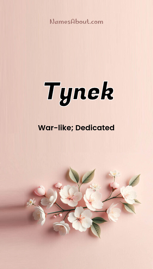 Meaning of Tynek