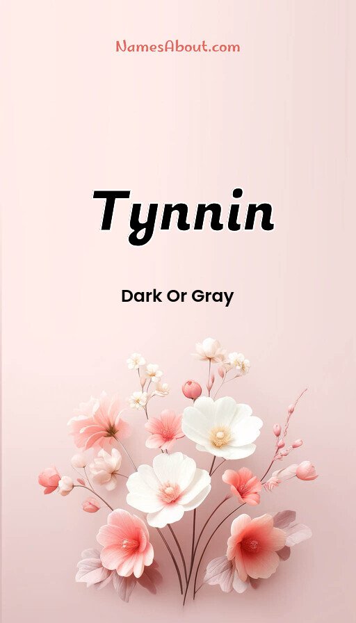 Meaning of Tynnin