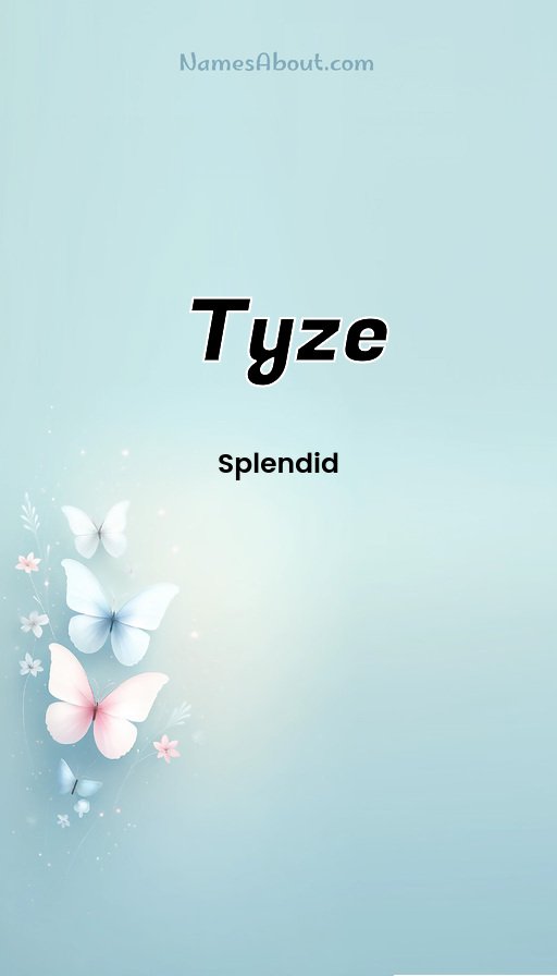 Meaning of Tyze