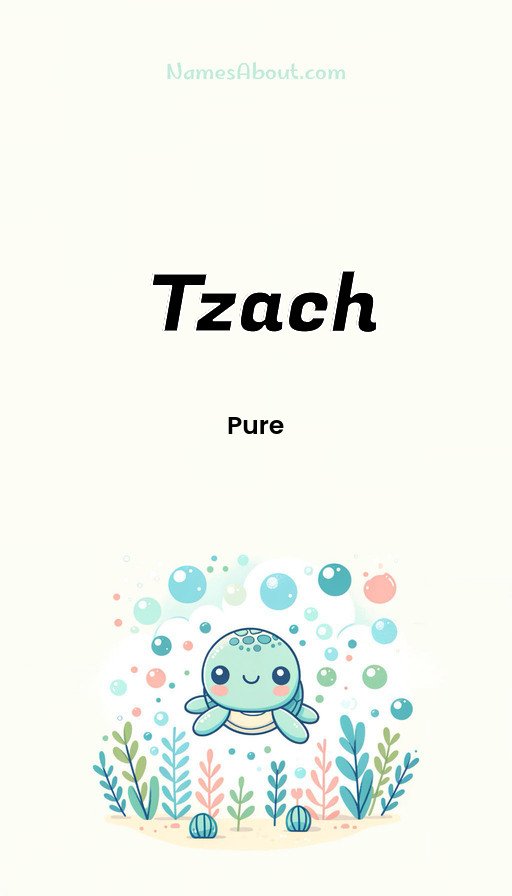 Meaning of Tzach