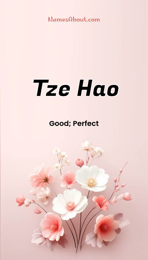 Meaning of Tze Hao