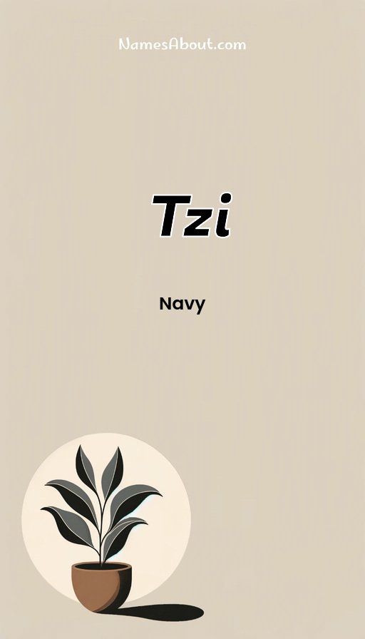 Meaning of Tzi