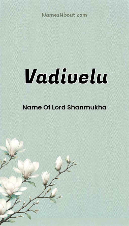 Meaning of Vadivelu