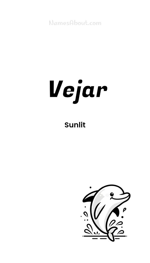 Meaning of Vejar