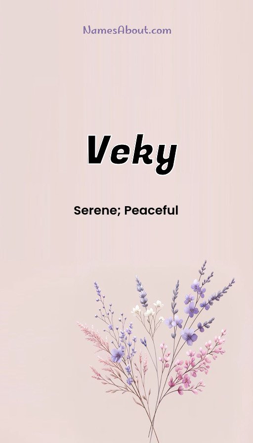 Meaning of Veky