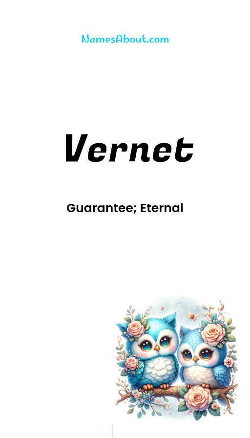 Meaning of Vernet