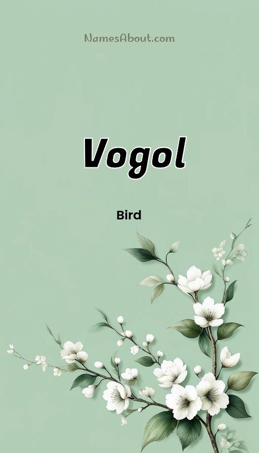Meaning of Vogol