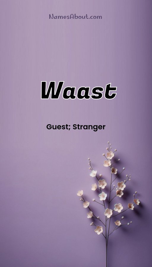 Meaning of Waast