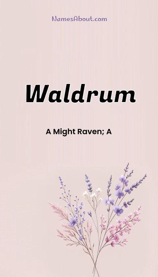 Meaning of Waldrum