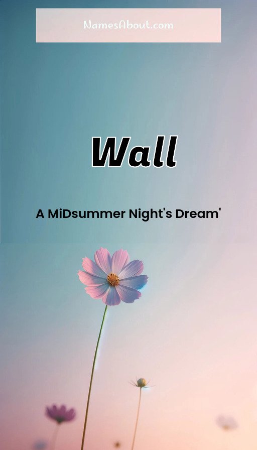 Meaning of Wall