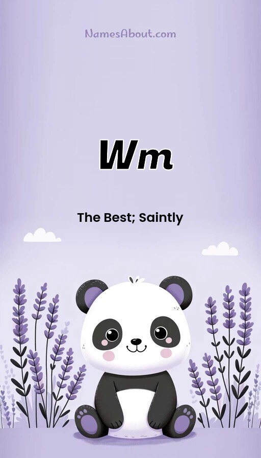 Meaning of Wm
