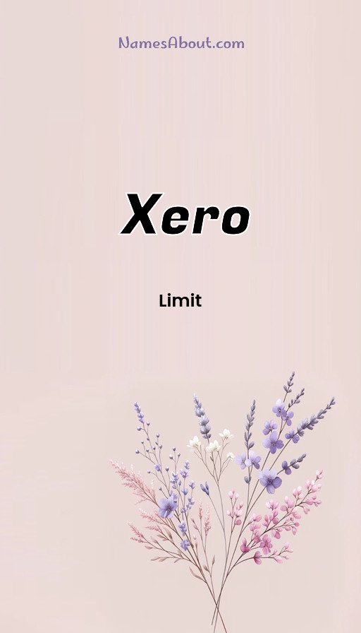 Meaning of Xero