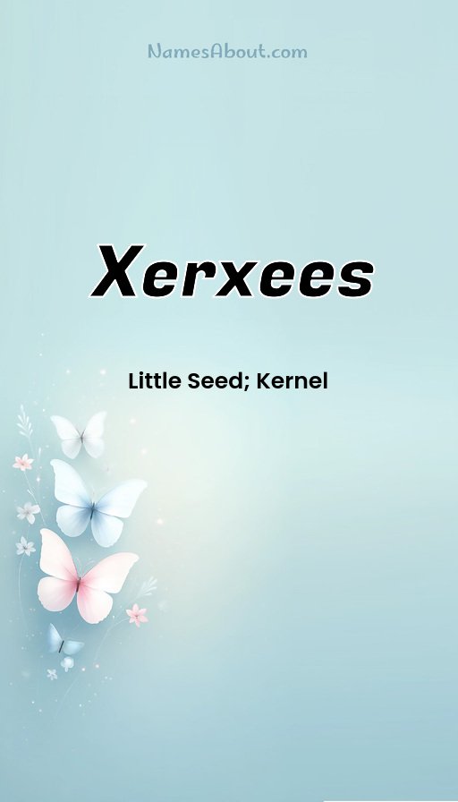 Meaning of Xerxees