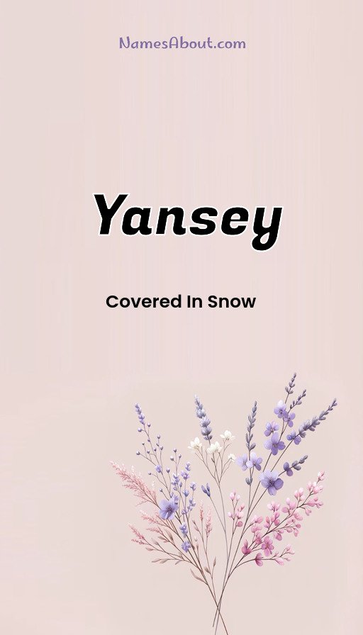 Meaning of Yansey