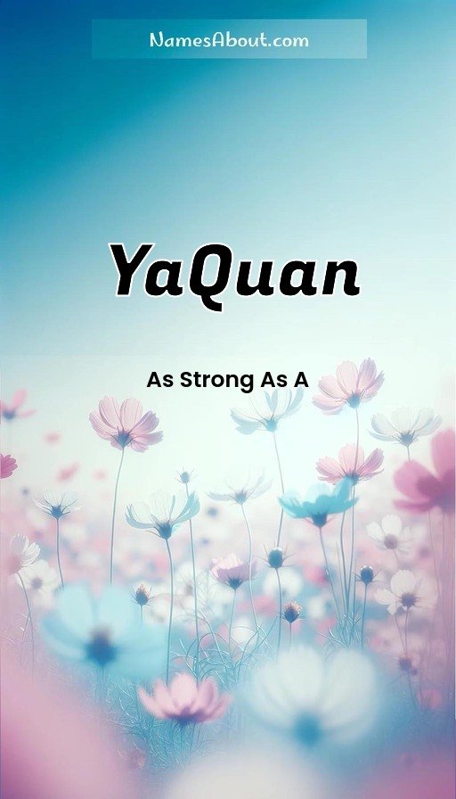 Meaning of Yaquan