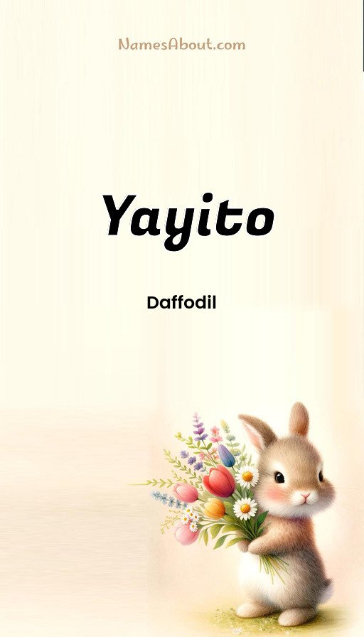 Meaning of Yayito