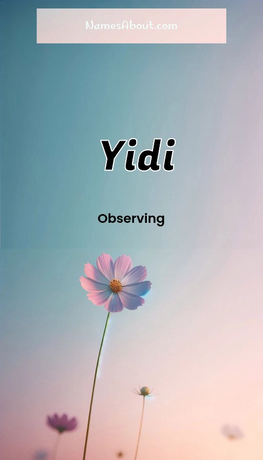 Meaning of Yidi
