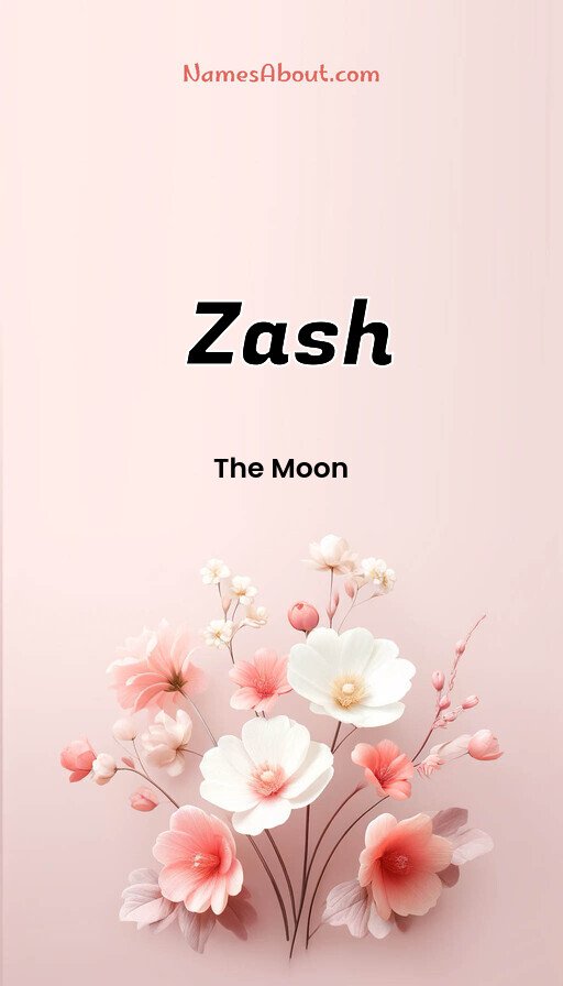 Meaning of Zash
