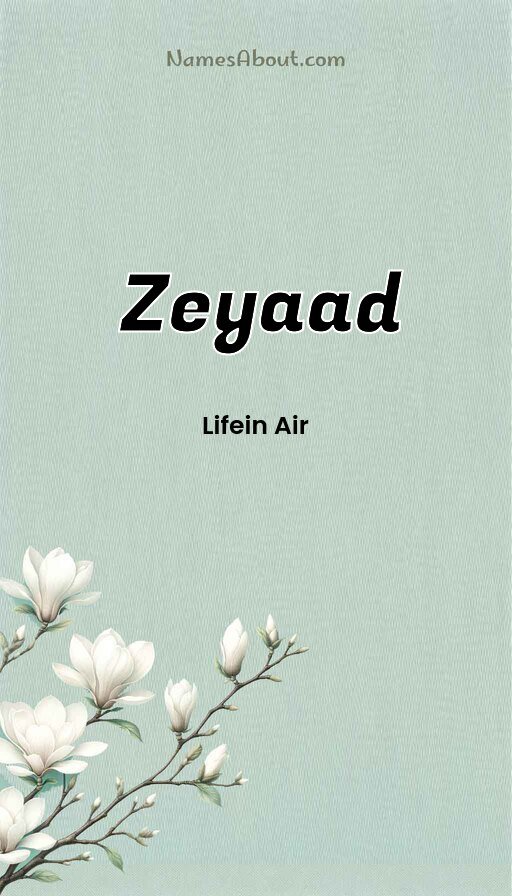 Meaning of Zeyaad
