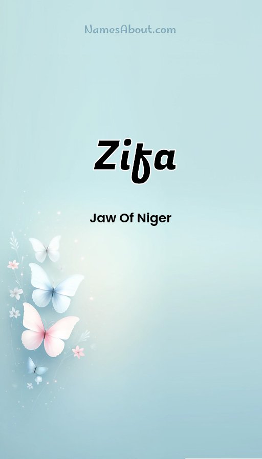 Meaning of Zifa