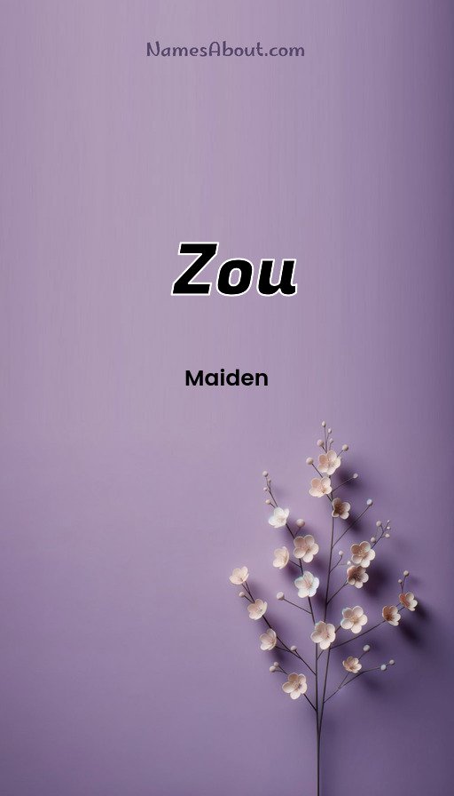 Meaning of Zou