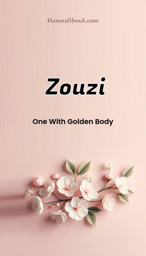 Meaning of Zouzi