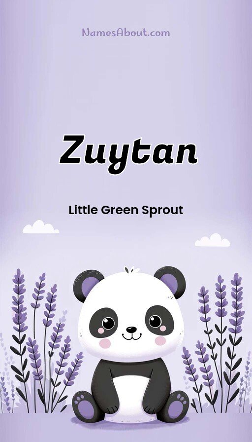 Meaning of Zuytan