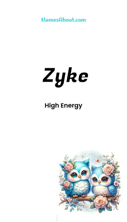 Meaning of Zyke