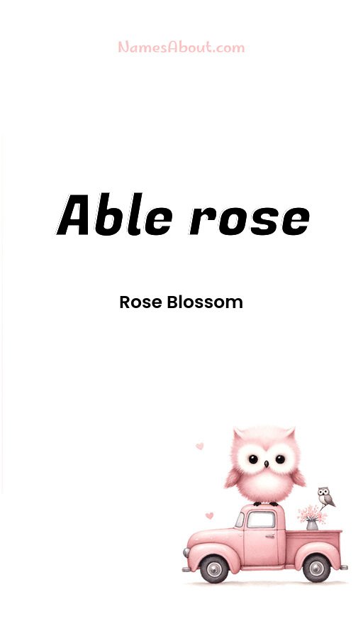 Meaning of Able rose