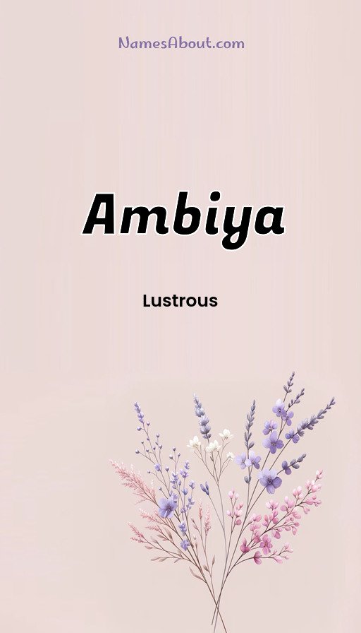 Meaning of Ambiya