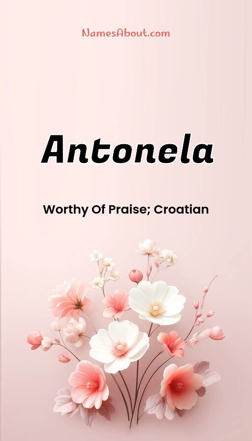 Meaning of Antonela