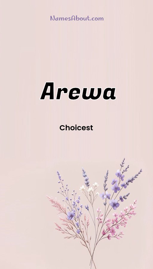 Meaning of Arewa