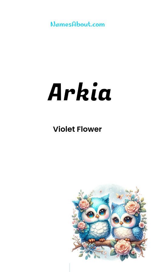 Meaning of Arkia