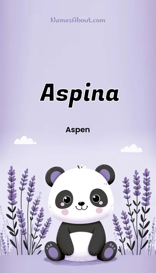 Meaning of Aspina