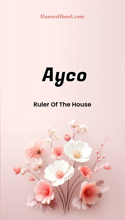 Meaning of Ayco