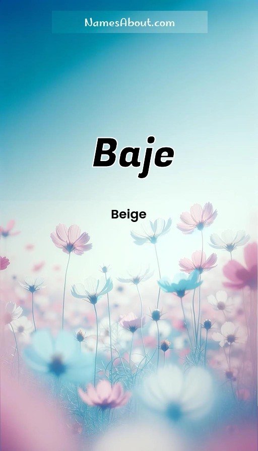 Meaning of Baje