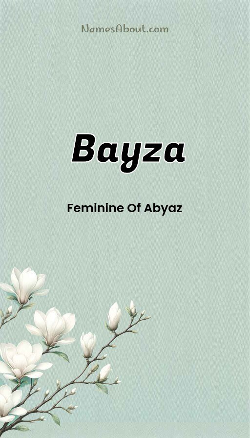 Meaning of Bayza