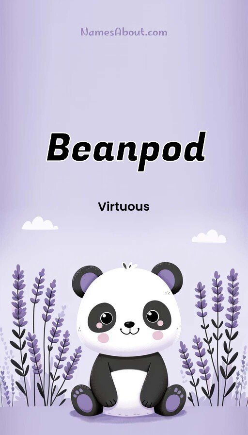 Meaning of Beanpod