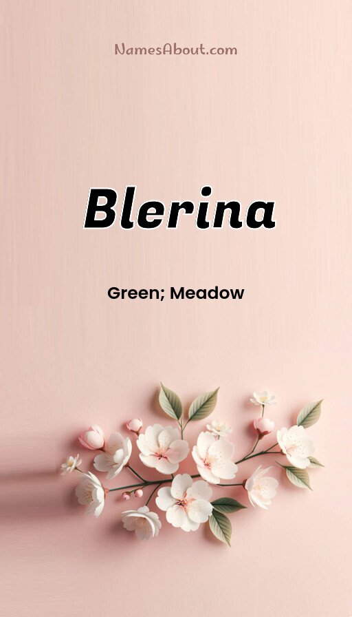 Meaning of Blerina
