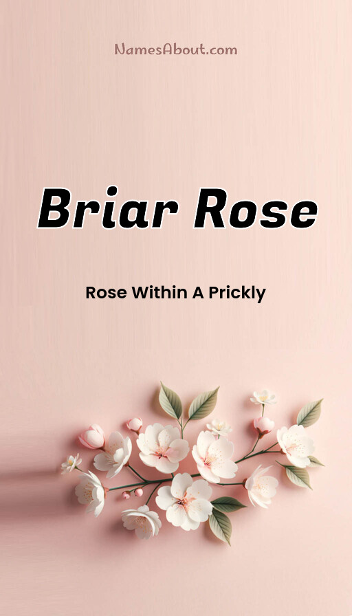 Meaning of Briar rose