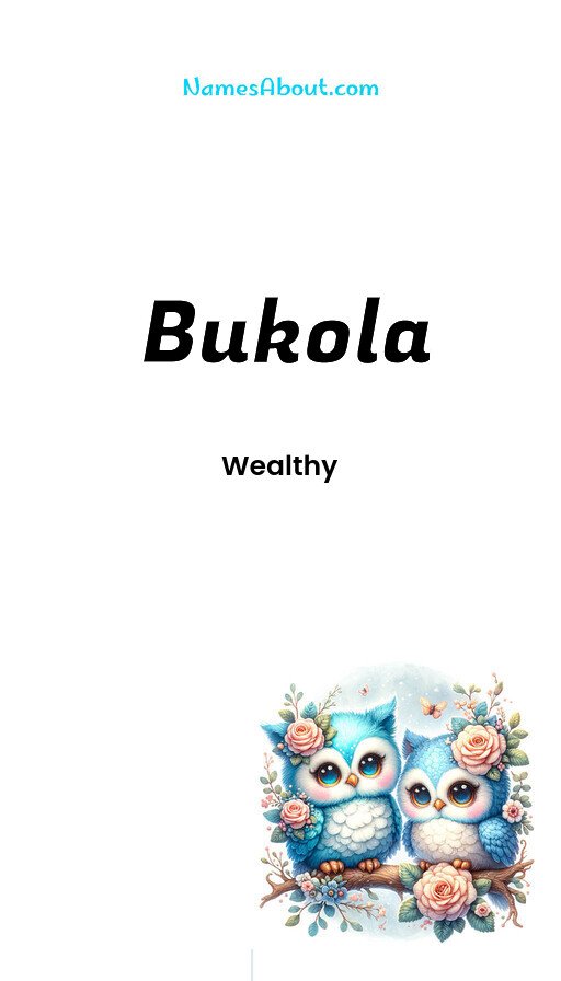 Meaning of Bukola