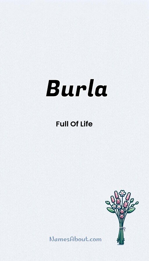 Meaning of Burla