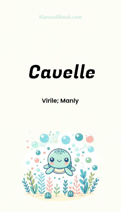 Meaning of Cavelle