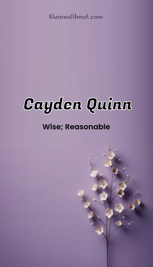 Meaning of Cayden quinn