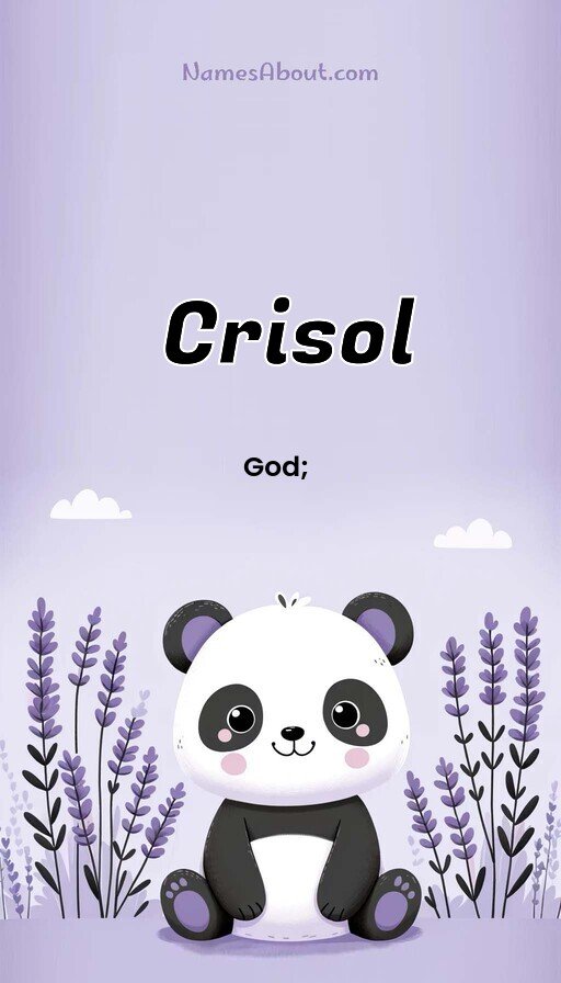 Meaning of Crisol