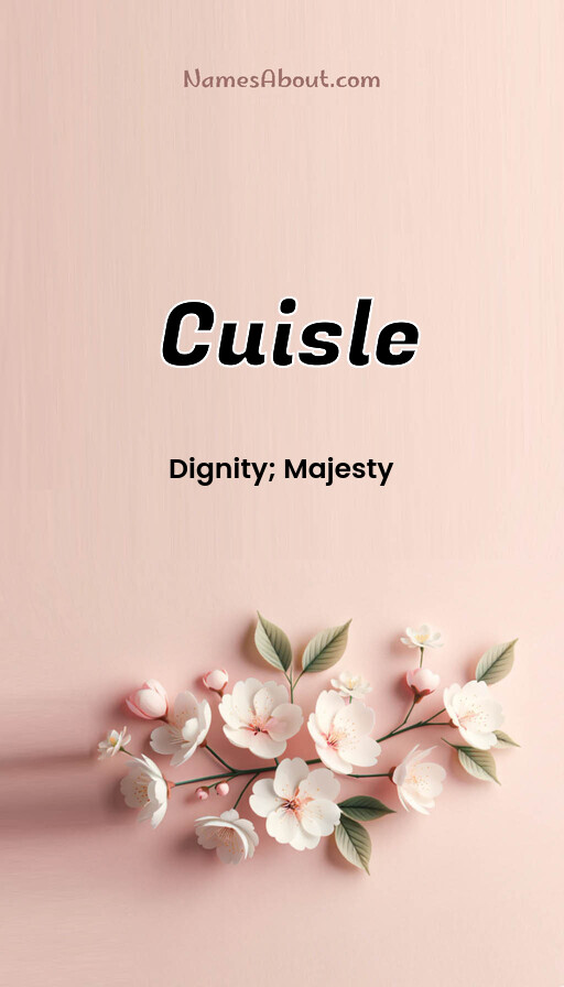 Meaning of Cuisle