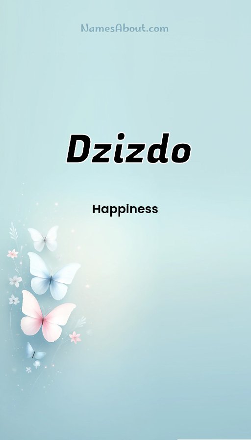 Meaning of Dzizdo